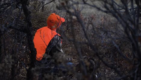 Hunter-in-orange-waits-in-the-brush-for-an-animal