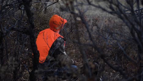 Hunter-in-orange-waits-in-the-brush-for-an-animal