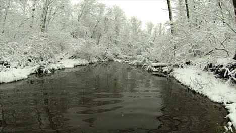 Creek-flows-through-snow-covered-wooded-landscape-as-snow-falls