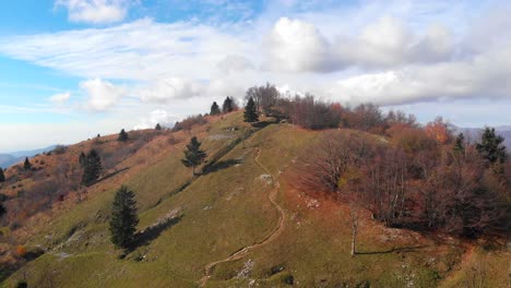 Drohne-Fliegt-In-Richtung-Weg-In-Den-Bergen,-Herbstlandschaft-Mit-Gras,-Bäumen-Und-Bewölktem-Blauem-Himmel