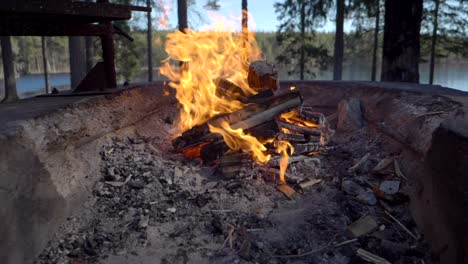 A-campfire-is-burning-with-a-small-lake-and-a-forest-in-the-background