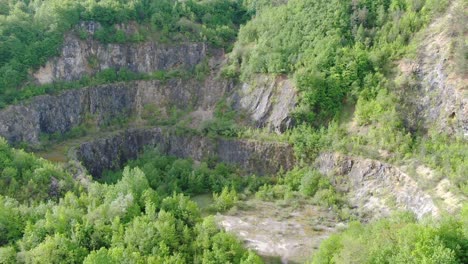Luftaufnahme,-Die-über-Einen-Riesigen-Wald-In-Suhi-Potok,-Südslowenien,-Fliegt