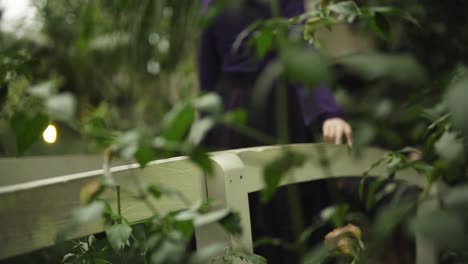 Woman-in-purple-dress-walking-on-the-bridge-touching-the-wood-in-very-green-environment-full-of-plants-close-up-hand-slowmotion