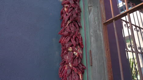 Dried-red-chili-peppers-hanging-by-a-doorway---tilt-down