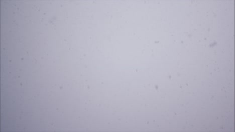 Fallender-Schnee-Auf-Einem-Hintergrund-Des-Nebligen-Himmels