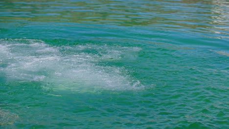 Adrenaline-pumping-dive-with-action-camera-filming-at-natural-lake-Radlje-Ob-Dravi