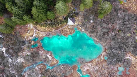 Aerial-Pedestal-Up-View-Of-Turquoise-Lake-Zelenci-At-Nature-Reserve-In-Slovenia