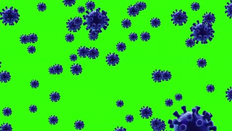 Coronavirus-Animation,-Grüner-Bildschirmhintergrund