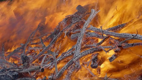 A-close-up-shot-of-an-intense-fire-burning-logs