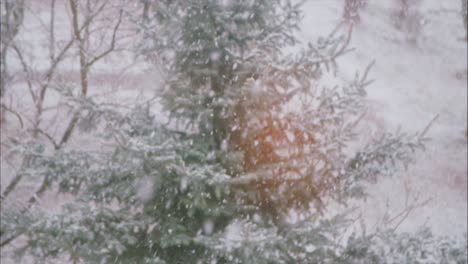 Leichte-Schneeflocken,-Die-Auf-Den-Hintergrund-Des-Weihnachtsbaums-Fallen