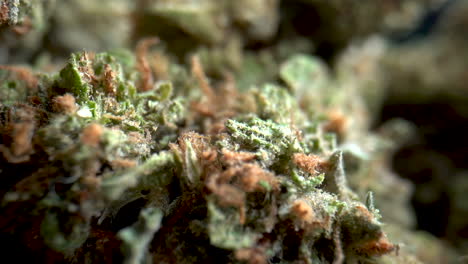 Close-Up-View-Of-Medical-Cannabis,-Marijuana-Buds