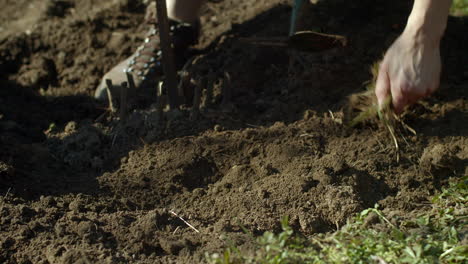 Tilling-ground-into-loose-dirt-with-short-hoe,-close-up