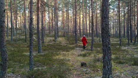Adult-woman-wearing-a-red-coat-walks-in-a-freedom-forest-alone-on-a-sunny-day
