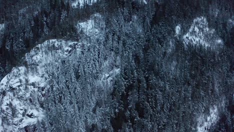 Luftaufnahme-über-Schneebedeckten-Berghang-Und-Kippt-Bis-Zum-Gipfel