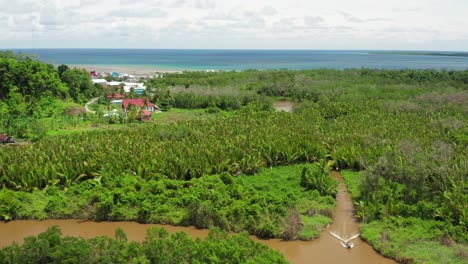 Aerial-crane-shot-of-boat-in-village-river-in-green-Indonesian-jungle