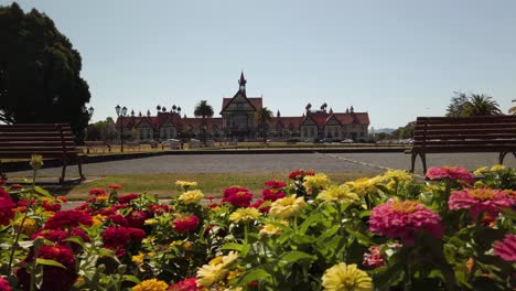 Beautiful-Flowers-with-Rotorua-Museum-in-Background,-Slow-Motion