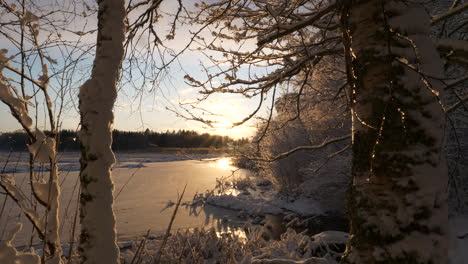 Goldener-Sonnenuntergang-Auf-Gefrorener-Winterlandschaft