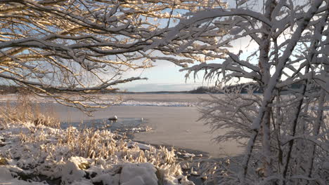 Winterstille,-Zugefrorene-Seenlandschaft-Umrahmt-Von-Verschneiten-Ästen