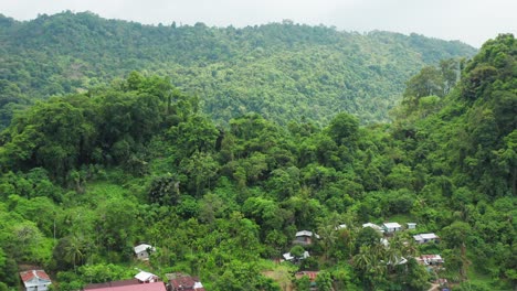 Fly-over-coastal-town-in-an-embrace-of-lush-jungle