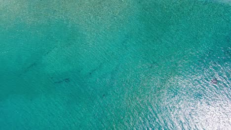 Top-down-aerial-drone-shot-of-a-beach-with-clear-seawater
