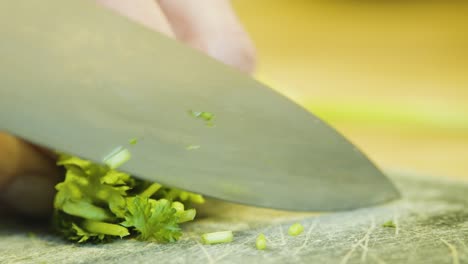 Cutting-Green-Parsley-with-Sharp-Nife-on-Grey-Chopping-Board,-Detail