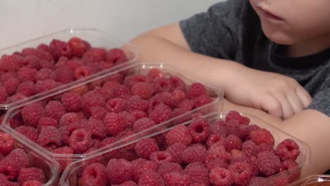 Boy-eating-raspberries