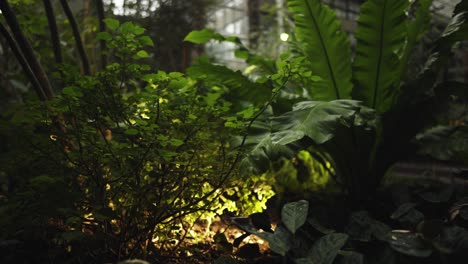 Artificial-light-behind-tropical-vegetation-in-dark-environment
