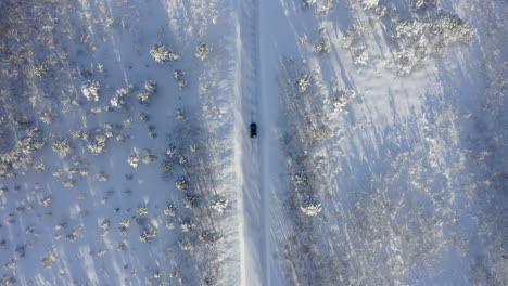 A-Car-Driving-Along-a-Road-in-Winter-Wilderness,-Top-Down-Angle