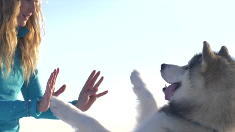 Cute-dog-jumps-to-high-five-attractive-smiling-woman,-clear-sky,-slowmo
