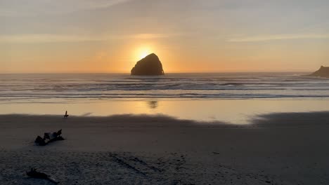 Joggen-Mit-Einem-Hund-Bei-Sonnenuntergang-An-Der-Küste-Von-Oregon