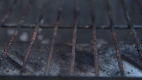 Scrubbing-barbecue-roster-with-a-steel-brush---extreme-close