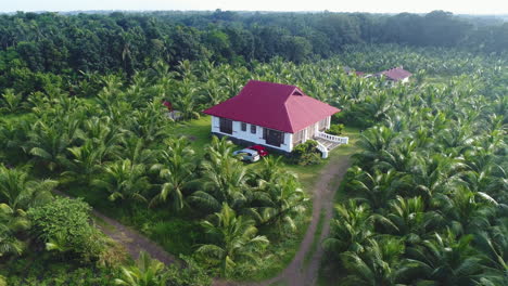 Aerial-Orbit-Shot-Of-A-Large-Beautiful-Farm-House-In-The-Center-Of-A-Coconut-Farm