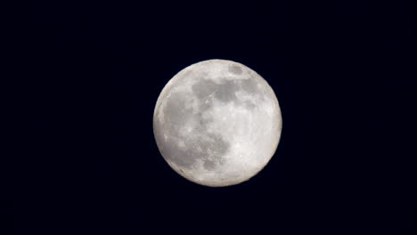 Real-Full-Moon-zoomed-in-close,-moving-slowly-across-dark-blue-sky