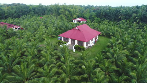 Aerial-Mid-Shot-Of-Three-Farm-Houses-Inside-A-Coconut-Farm-Compound