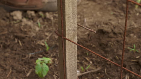 Twisting-the-wire-around-a-wood-pole-for-fencing---close-up