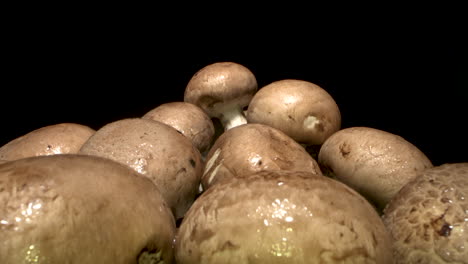A-macro-shot-of-brown-mushrooms