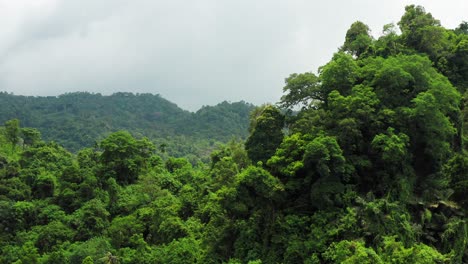 Aerial-view-over-a-lush-canopy-of-a-tropical-forest-thicket-at-an-Indonesian-island