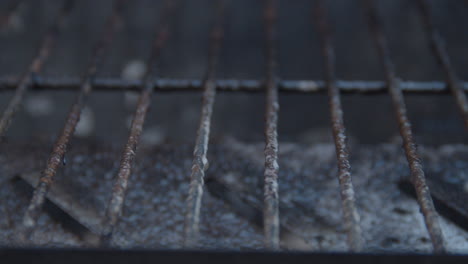 Spraying-cleaner-on-dirty-bbq-roster-and-scrubbing-it-with-steel-brush---extreme-close