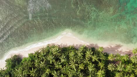 Aerial-top-down-shot-of-waves-rolling-in-Indonesian-palm-beach-lagoon
