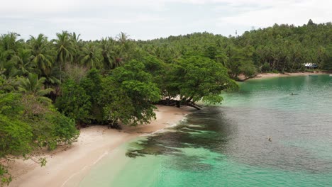Playa-Revelar-Mentawai-Indonesia-Tropical