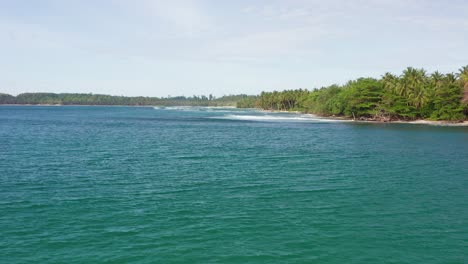 Seascape-palm-trees-Mentawai-Indonesia