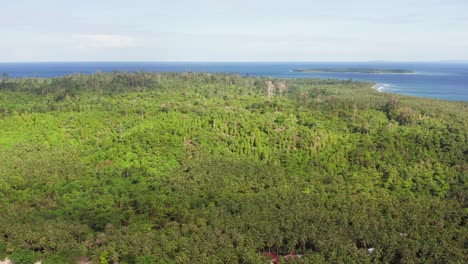 Oben-Dschungel-Mentawai-Indonesien-Asien