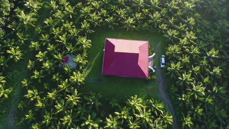 Overhead-Luftaufnahme-Eines-Bauernhauses-Und-Einer-Kokosnussfarm-Bei-Sonnenaufgang