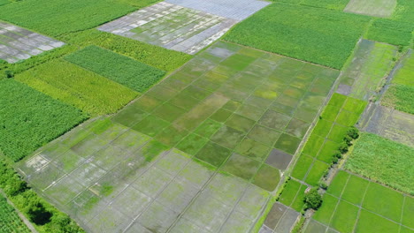 Wide-Aerial-Shot-Of-Various-Farm-Lots-In-A-Sunny-Day