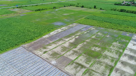 Aerial-Shot-Of-Green-And-Dry-Farm-Areas-In-Sunny-Day