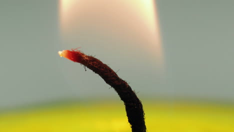 Extreme-close-up-studio-shot-of-wick-of-candle-burning-with-white-flame,-background
