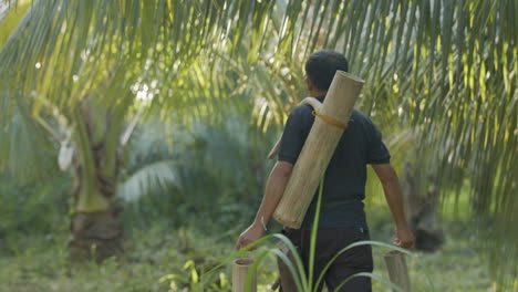 Zurück-Heldenaufnahme-Eines-Philippinischen-Kokosnussbauern,-Der-In-Einer-Kokosnussfarm-Spazieren-Geht-Und-Kokosschnapsernte-Trägt
