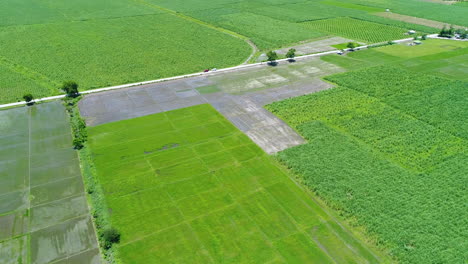 Weite-Luftaufnahme-Einer-Großen-Grünen-Farm-An-Sonnigen-Tagen