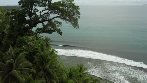 Luftkran-Schoss-Zwischen-Bäumen-In-Richtung-Brechender-Wellen-In-Indonesien