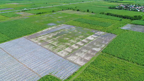 Wide-Aerial-Shot-Of-Farm-With-Plastic-Cover-In-Sunny-Day